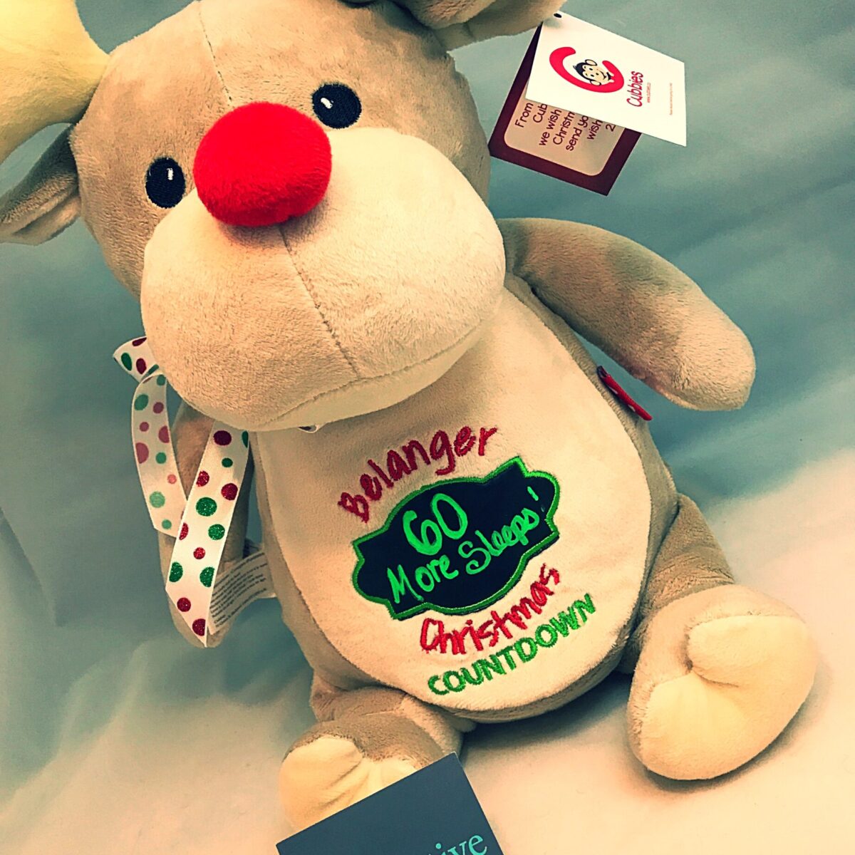 Christmas Countdown Cubbie