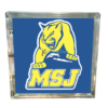 College Themed Light Blocks - Image 12