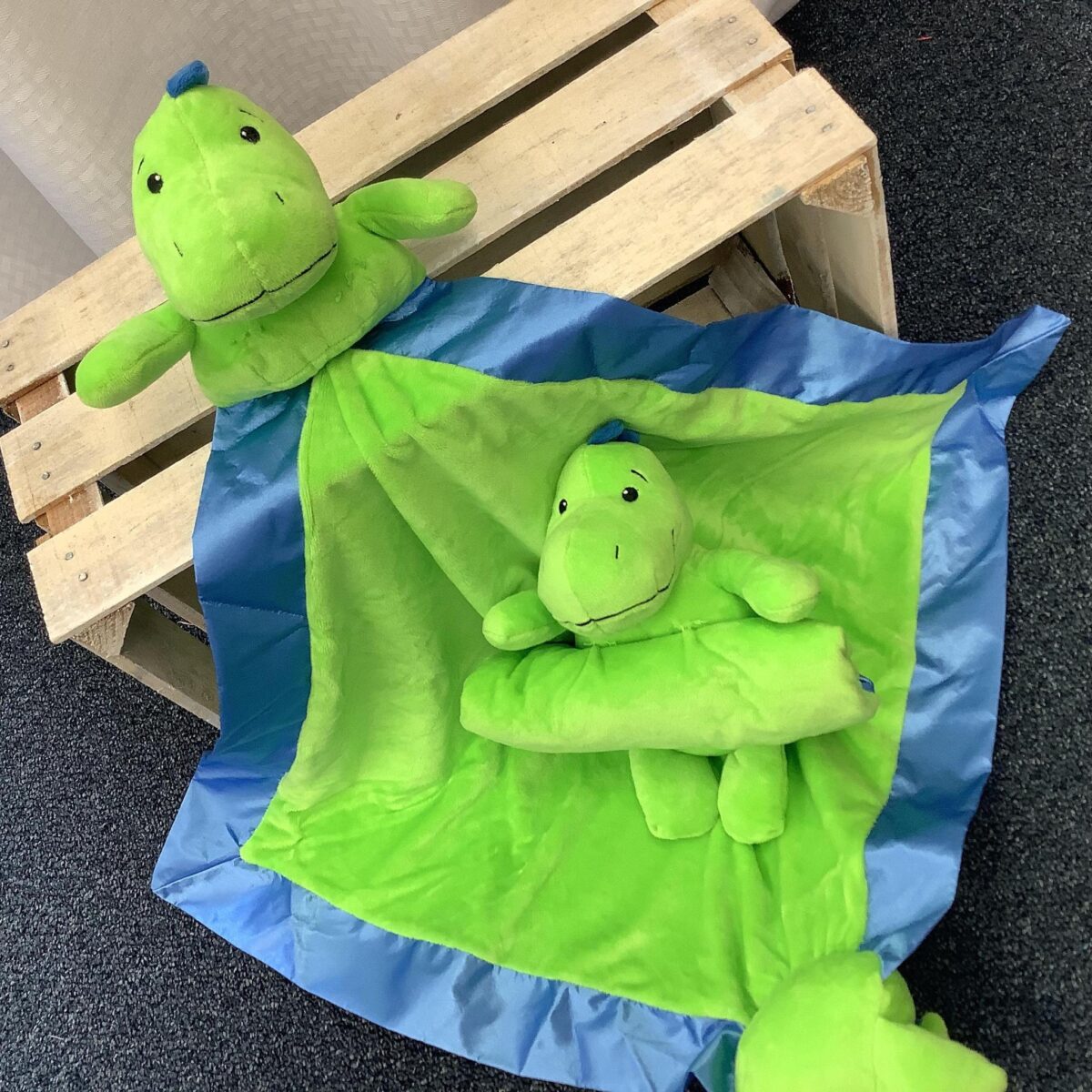NEW! Custom Embroidered Plush Dinosaur Blanket